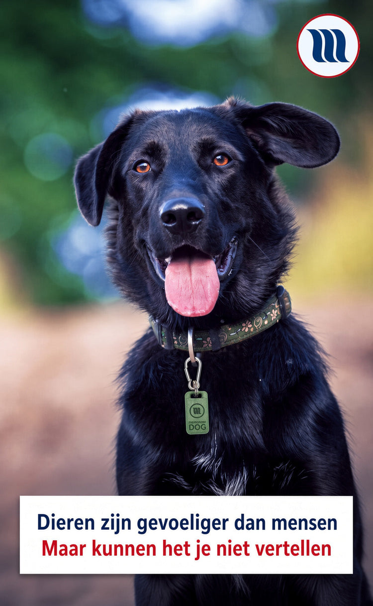 zwarte hond met open bek en roze tong kijkt vrolijk in de camera. Groene halsband met memonizer DOG-tag. Memon logo rechtsboven. Tekst: “Dieren zijn gevoeliger dan mensen – Maar kunnen het je niet vertellen”. Buitenomgeving.